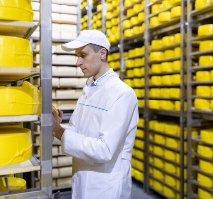 Portret inspektora stojącego w dziale produkcji fabryki mleczarskiej, oglądającego gotową produkcję.