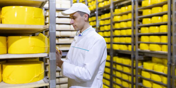 Portret inspektora stojącego w dziale produkcji fabryki mleczarskiej, oglądającego gotową produkcję.